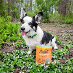 Jiminy's cricket training treats close-up texture — chewy bites for easy luring during training.
