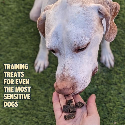 Jiminy's cricket treats during training — dogs respond to tasty, hypoallergenic reward options.