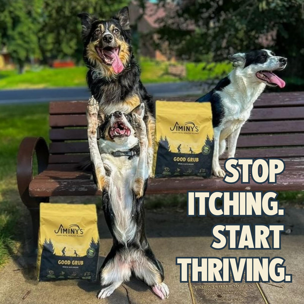 Jiminy's Good Grub allergen-free formula image communicates safe option for allergy-prone pets