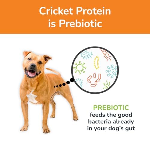 Jiminy's pumpkin carrot flavor label — savory-sweet taste dogs love during sessions.