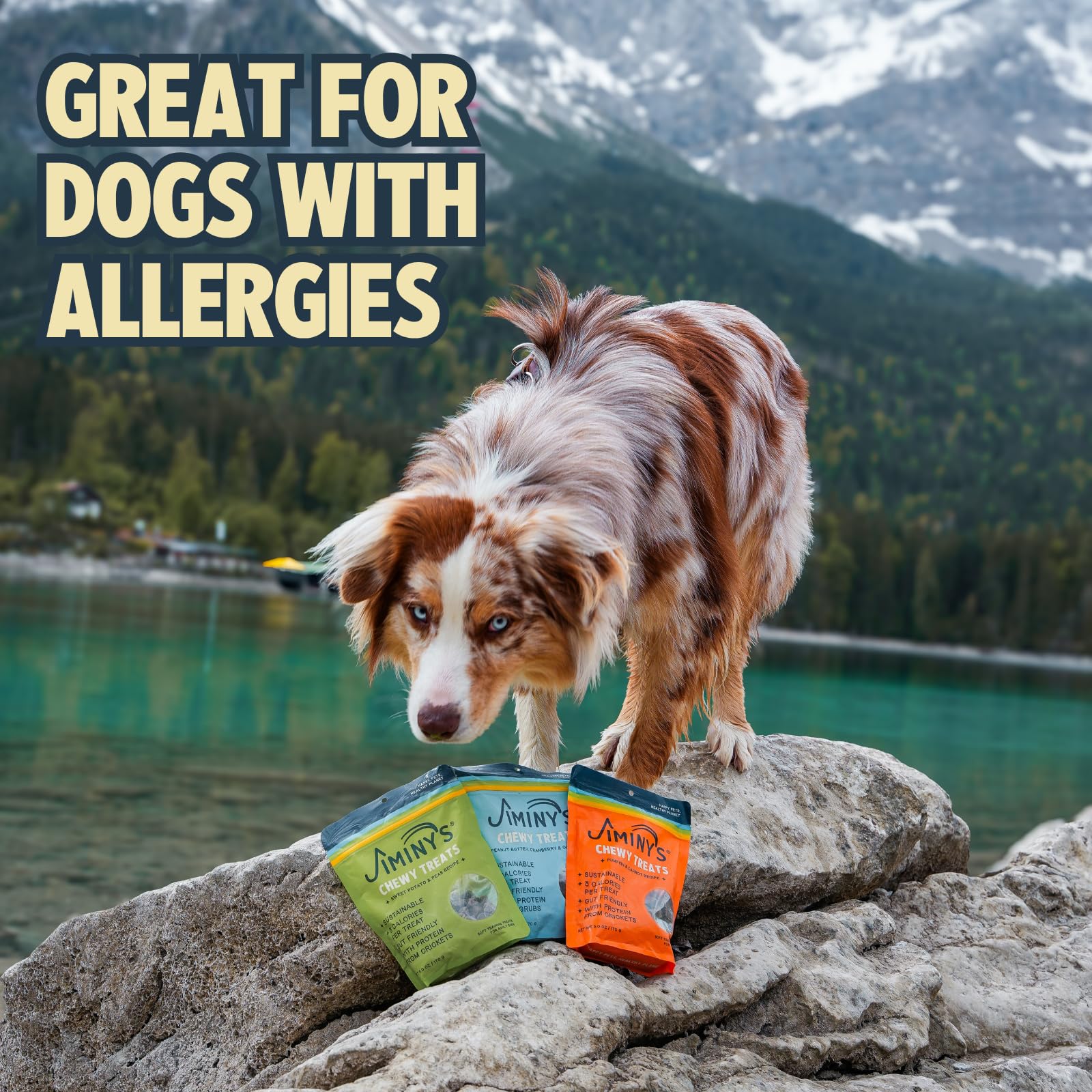 Jiminy's cricket protein label highlights hypoallergenic, low-calorie rewards for sensitive stomachs.