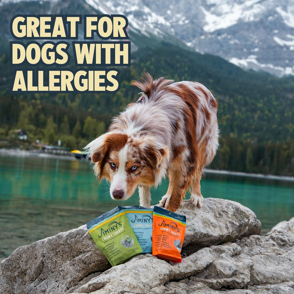 Jiminy's cricket protein label highlights hypoallergenic, low-calorie rewards for sensitive stomachs.