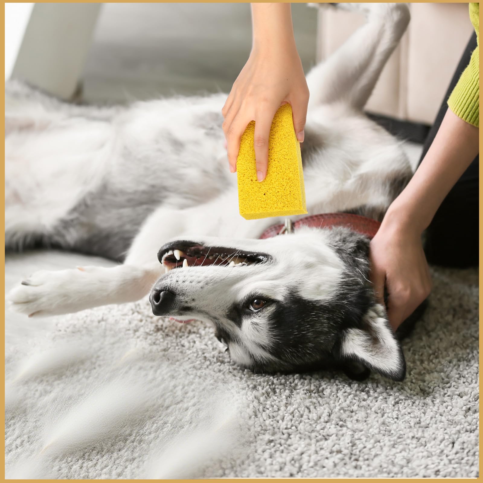 Jingmore bedding and pillow use captures effective pet hair lifting on fabrics.