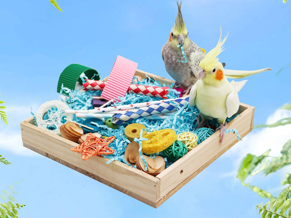 Jinkoozz Bird Foraging Toys Box closeup shows colorful materials and non-toxic textures for parrots.