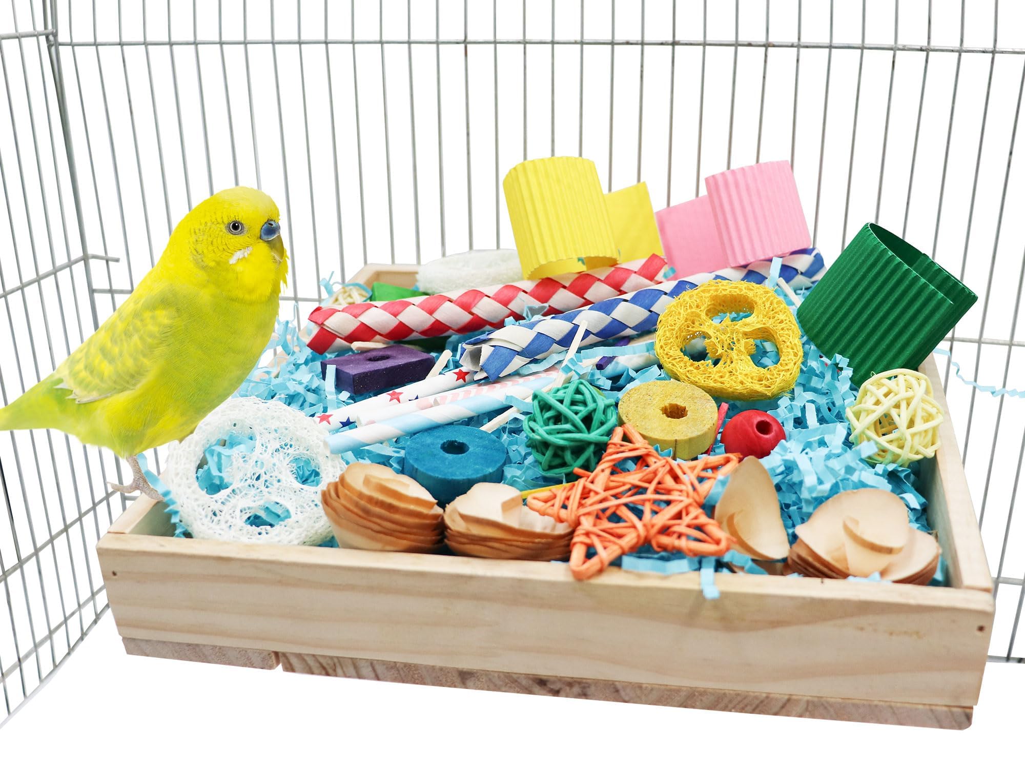 Jinkoozz Bird Foraging Toys Box treat-foraging use demonstrates hidden treasure play in cages.