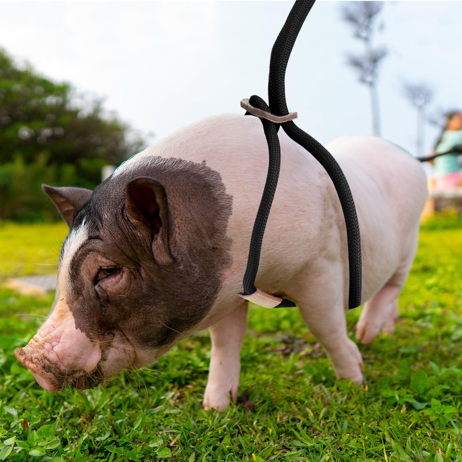 Jinkoozz mini pig harness durable nylon safety belt for secure outdoor trips.