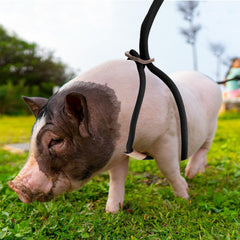 Jinkoozz mini pig harness durable nylon safety belt for secure outdoor trips.