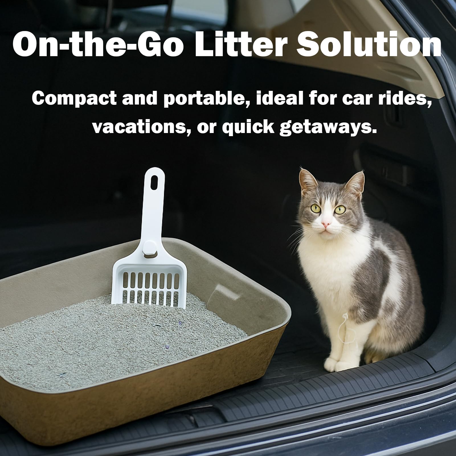 JINVOGREEN six-pack enables replacement every 2-3 weeks
