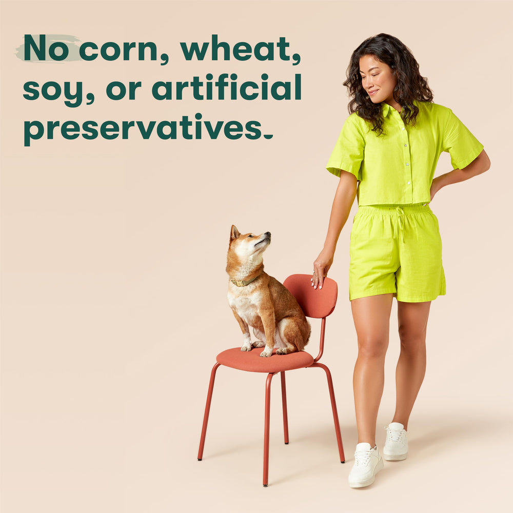 Jinx No-Fillers image highlights corn-wheat-soy-free formula for sensitive diets
