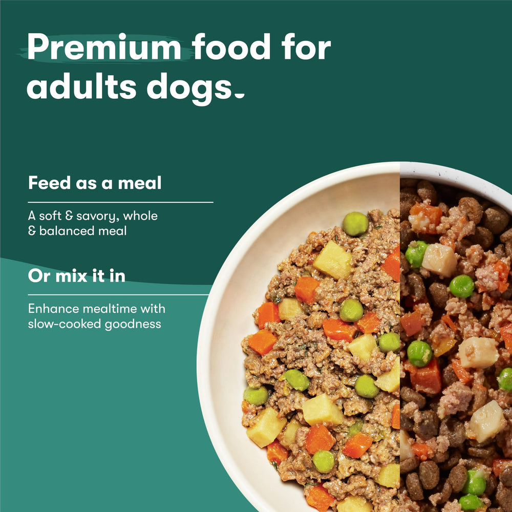 Jinx Picky Dogs Visual shows eager eater at mealtime