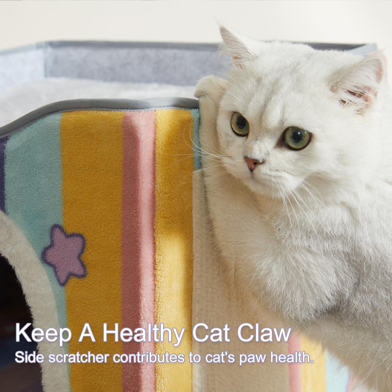 Jiupety 2-cat upper bed with lower cave provides private retreat.
