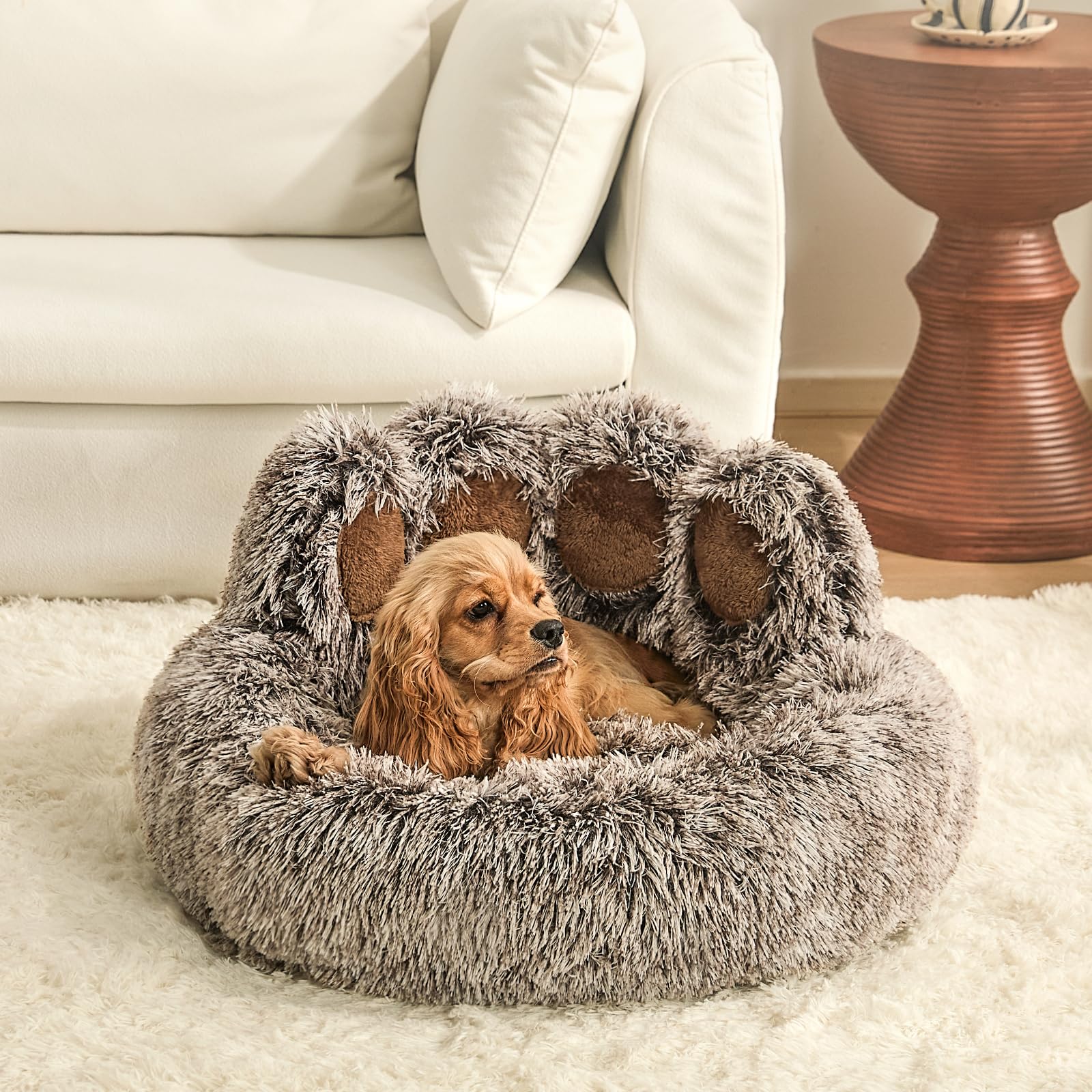 Jiupety paw shape bed in living room shows cozy resting spot.