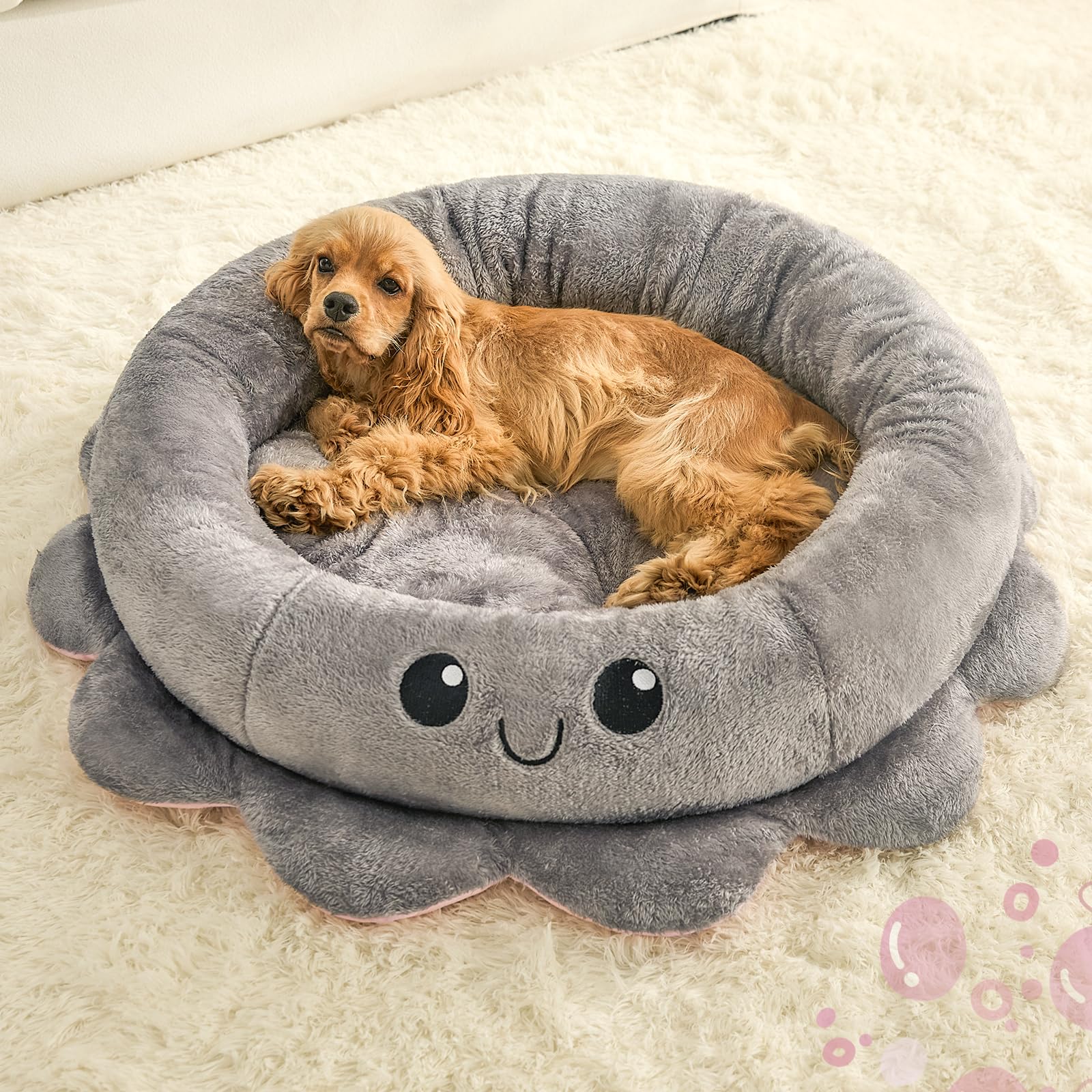 Jiupety removable cushion dog bed allows easy cleaning and flexible arrangement