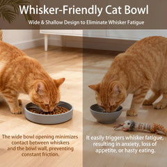 JIX SDFFAY silicone cat bowl 330ml capacity suitable for dry or wet food.