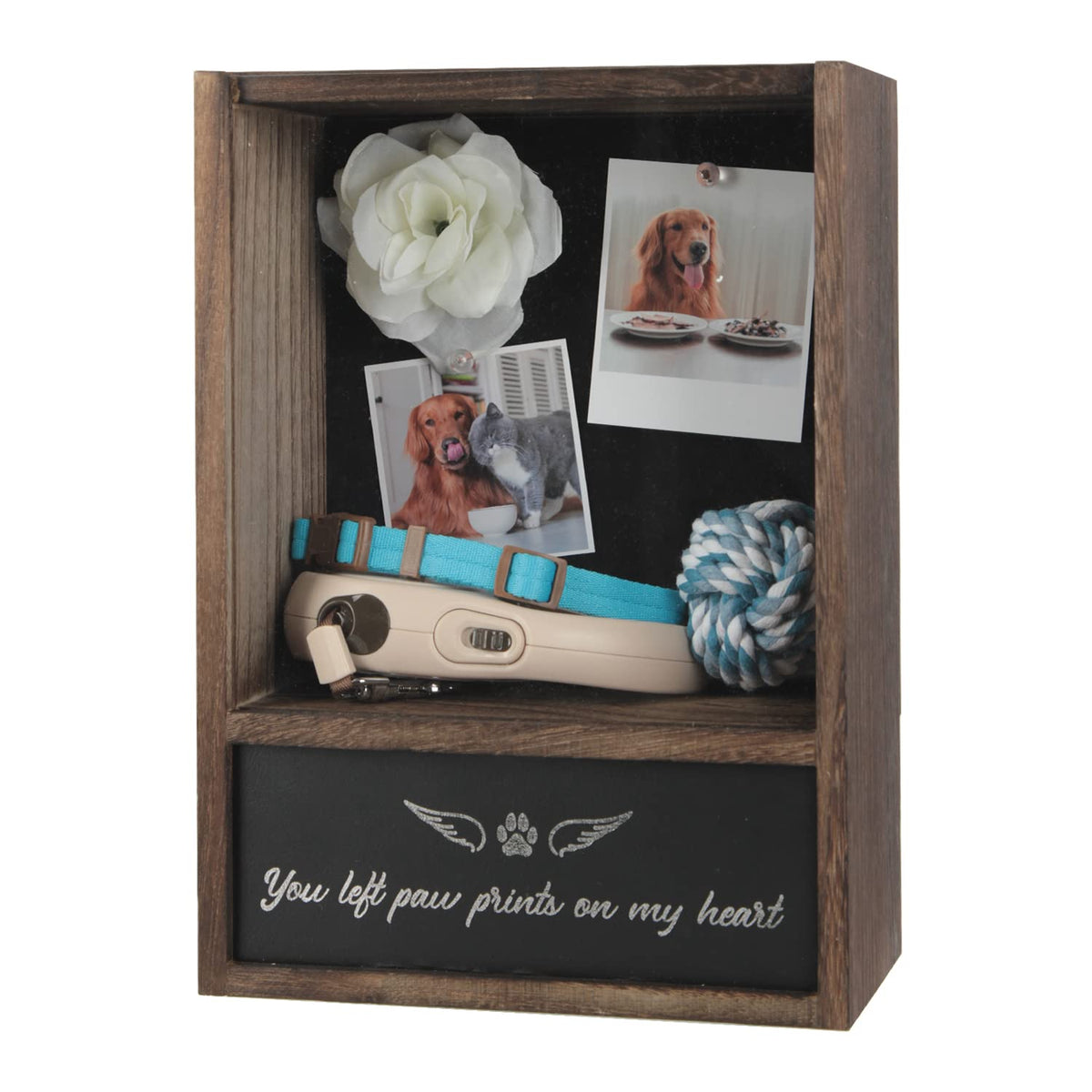 J JACKCUBE DESIGN pet memorial shadow box front view showcases memories and keepsakes for lasting remembrance