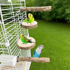 jjunlim-brid-perch-stand-round-platforms close-up shows three round perches for lounging.