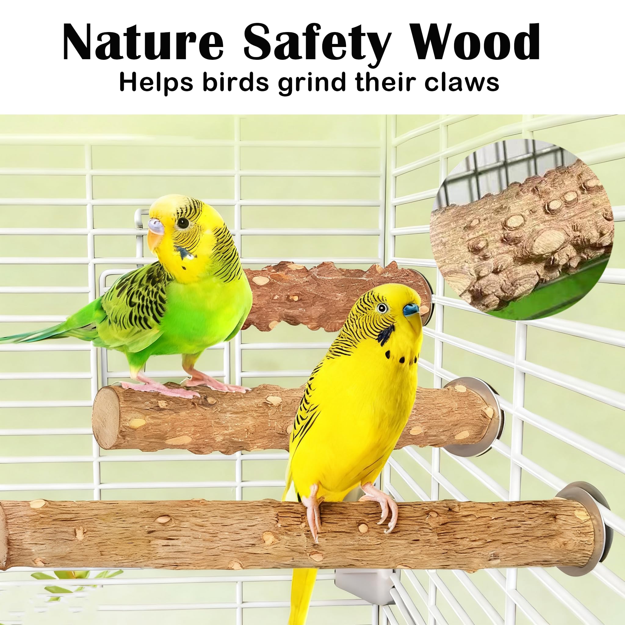 jjunlim-brid-perch-stand-single-perches product shot shows two perches for varied lounging.