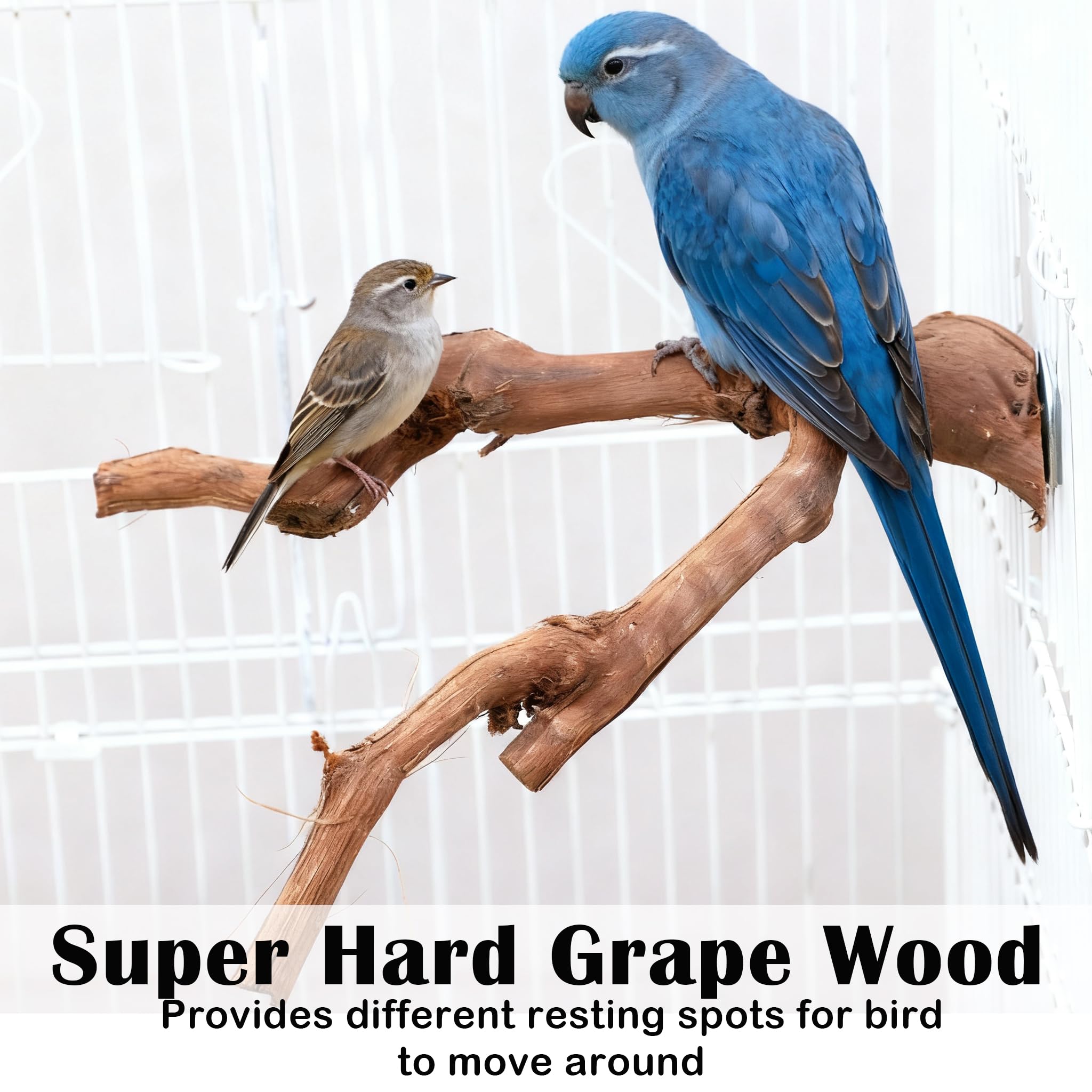 jjunlim-brid-perch-stand-wood-branch natural wood branch highlighting chew-friendly texture.