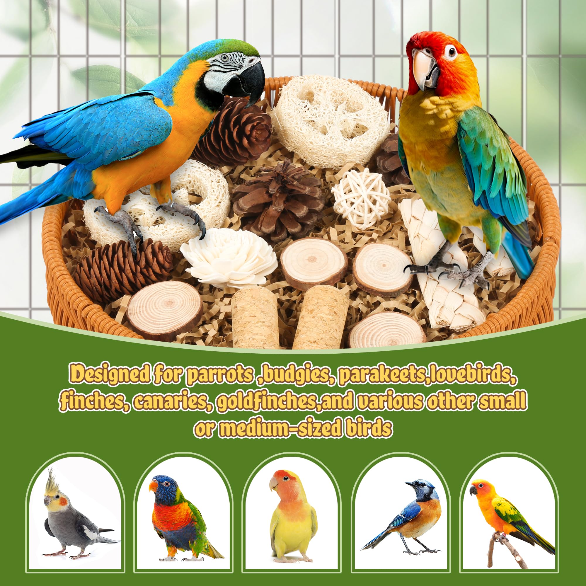 JJunLiM cockatiel setup shows versatile multi-bird enjoyment