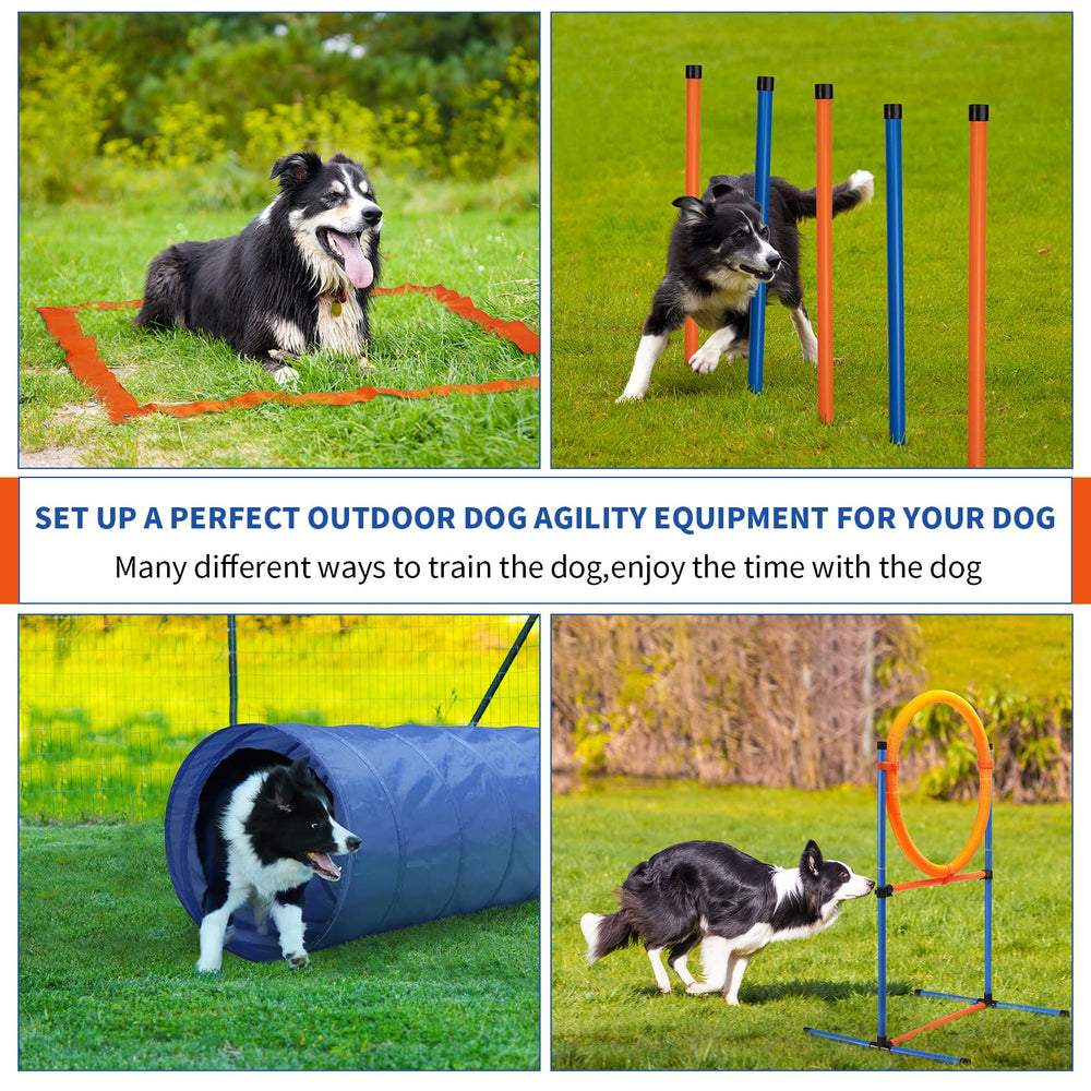 JMMPOO jump rings set adds variable challenges for your dog's routine.