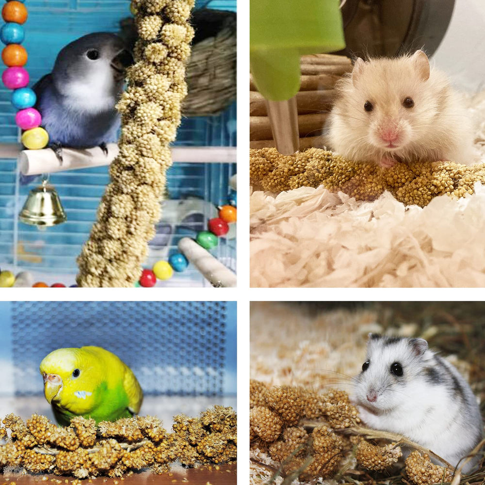 Jmxu's Spray Millet Treat hamster-and-birds image highlights cross-species snacking.