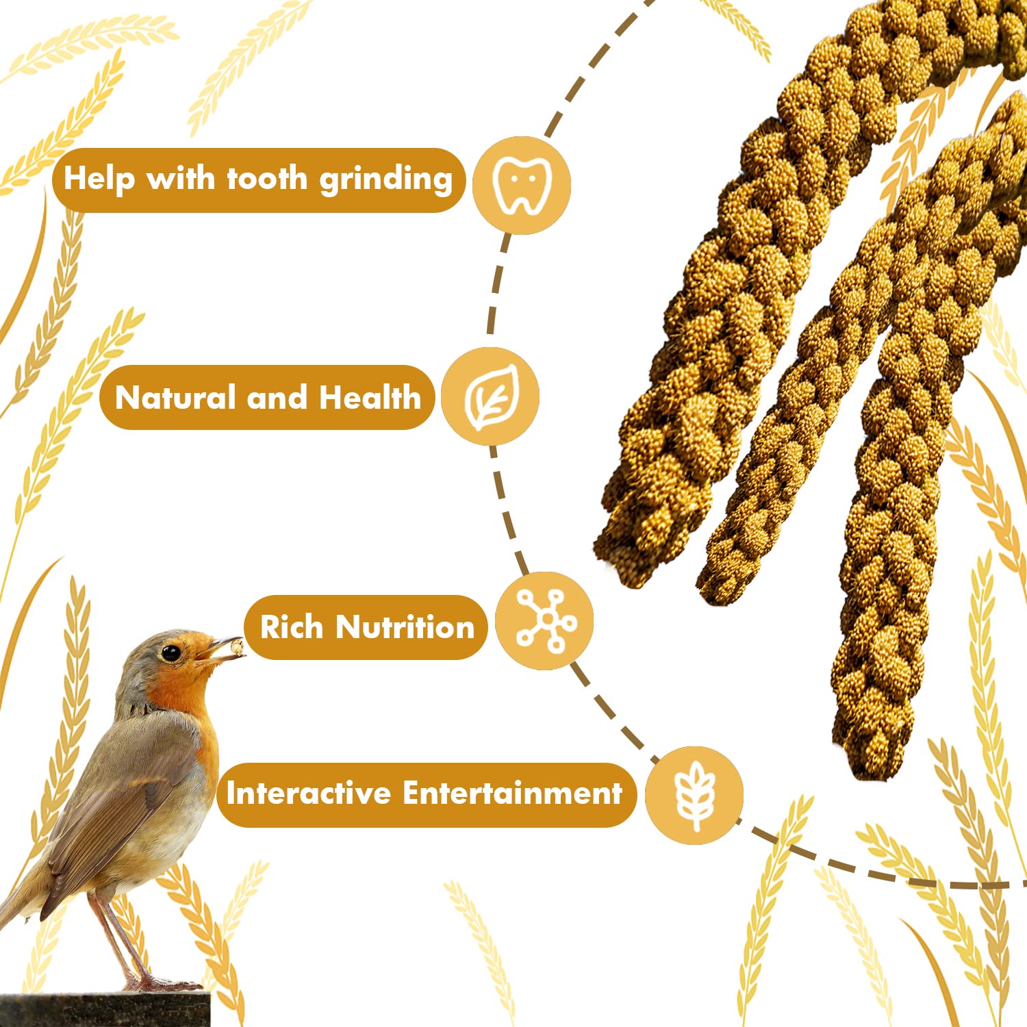 Jmxu's Spray Millet Treat pesticide-free image communicates clean, worry-free nibbling.