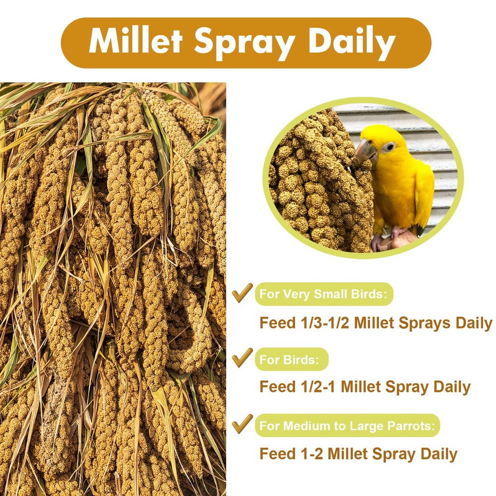 Jmxu's Spray Millet Treat value-supply image underlines long-lasting value.
