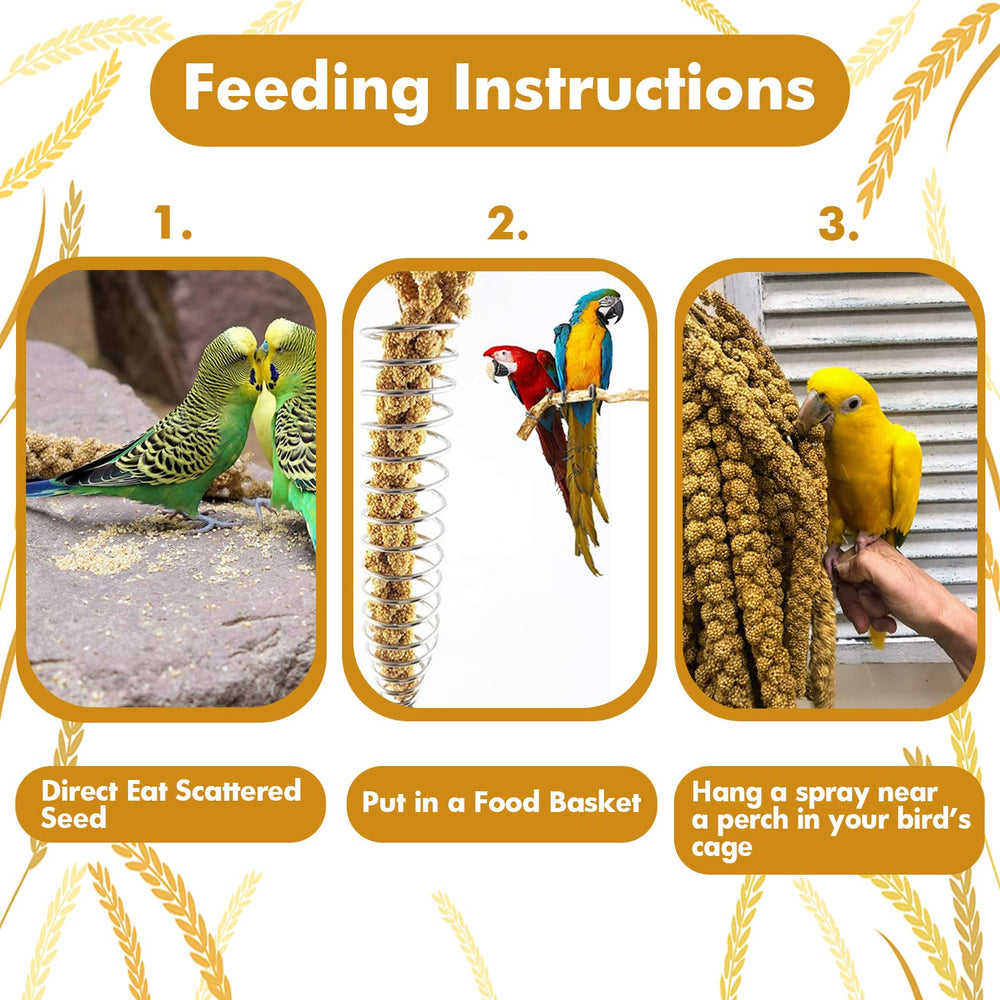 Jmxu's Spray Millet Treat variety-birds image emphasizes versatile feeding options.