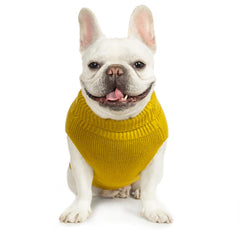 Jnancun Stretchy Cat Sweater dark yellow xx-large on cat for roomy comfort