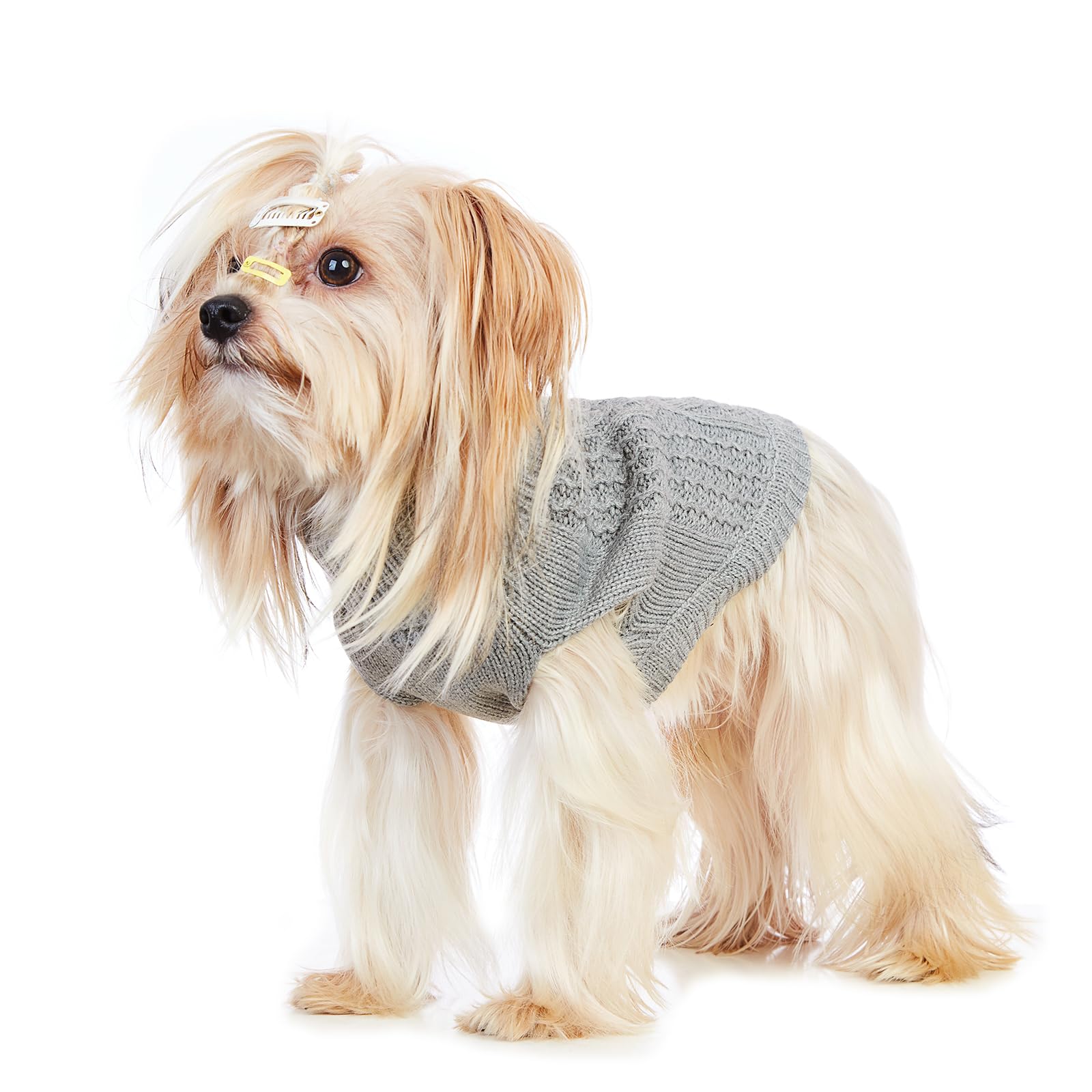 Jnancun stretchy cat sweater size-range chart showcases 6 sizes from petite to XXL.