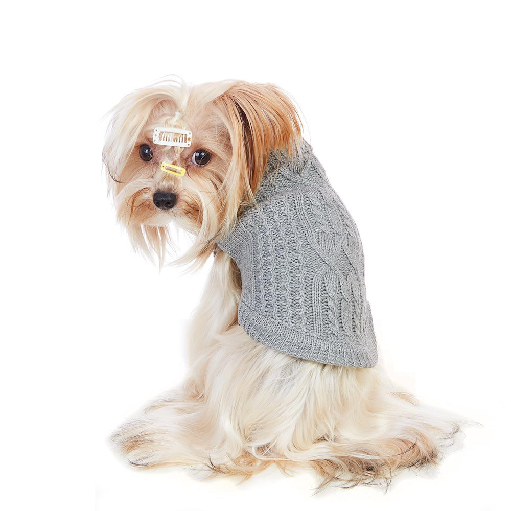 Jnancun stretchy cat sweater in-use shot on walk illustrates secure fit during winter adventures.