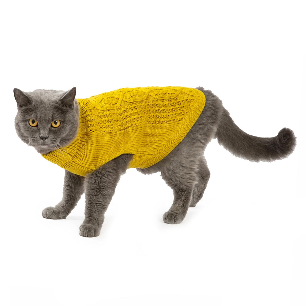 Jnancun Stretchy Cat Sweater great for winter walks and indoor coziness