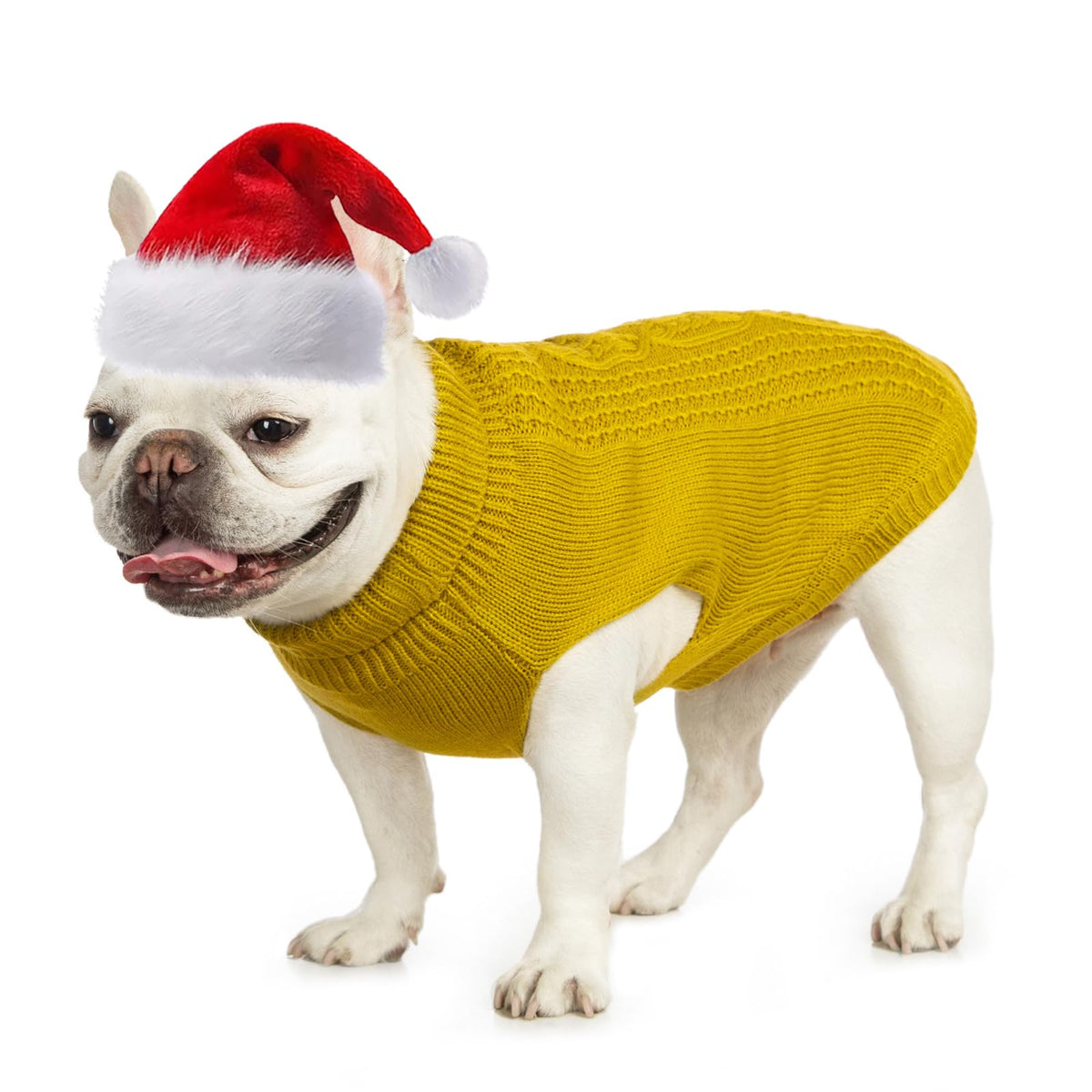 Jnancun Stretchy Cat Sweater worn on cat for cozy winter warmth during walks