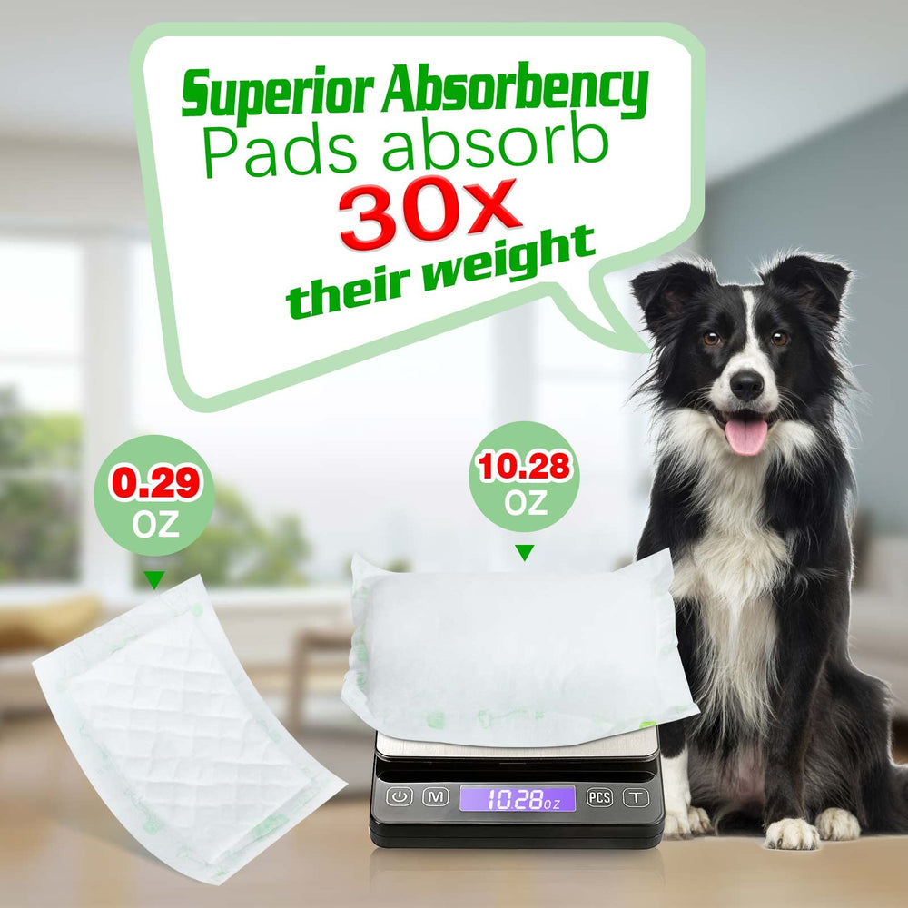 JOCCIK dog diaper liners absorption test demonstrates moisture handling capability