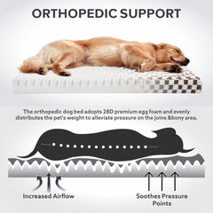 JOEJOY dog bed with removable washable cover demonstrates easy cleaning and maintenance.