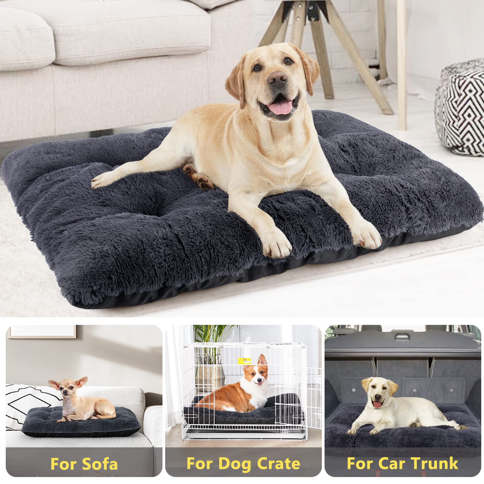 JOEJOY travel-ready bed for crates, cars, and trips