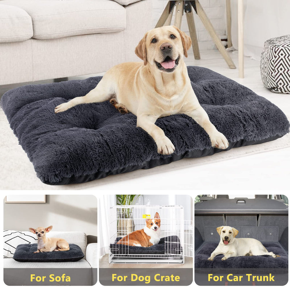 JOEJOY travel-ready bed for crates, cars, and trips