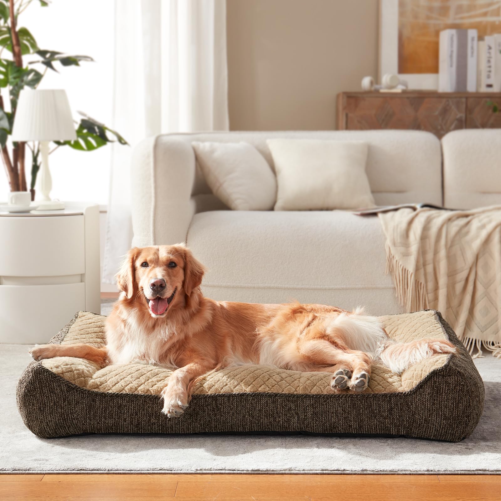 JOEJOY available sizes chart helps choose the right fit for your dog
