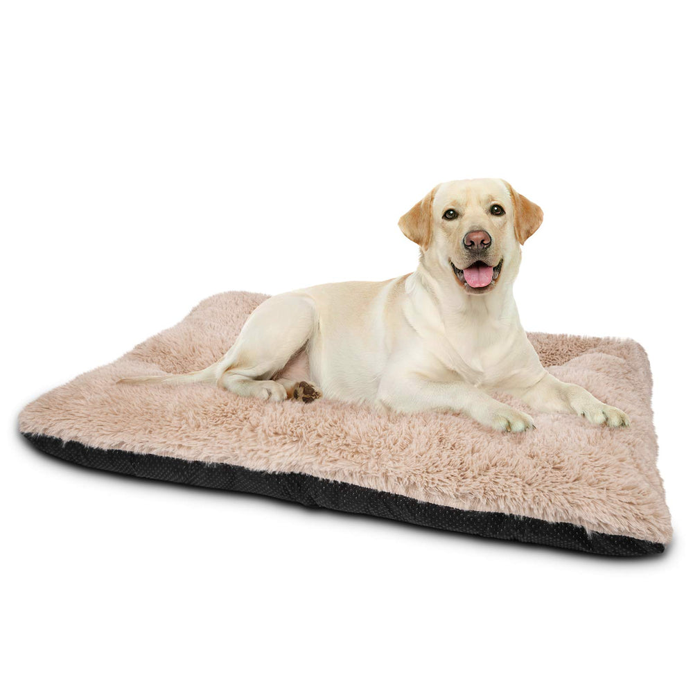 JOEJOY large dog bed front view shows plush comfort for secure, cozy naps.