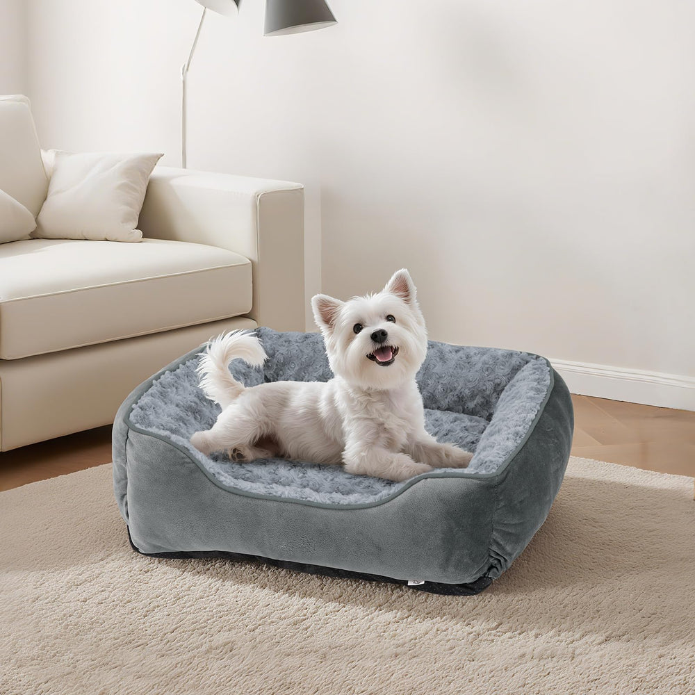 JOEJOY offers multiple sizes to fit small, medium, and large dogs.