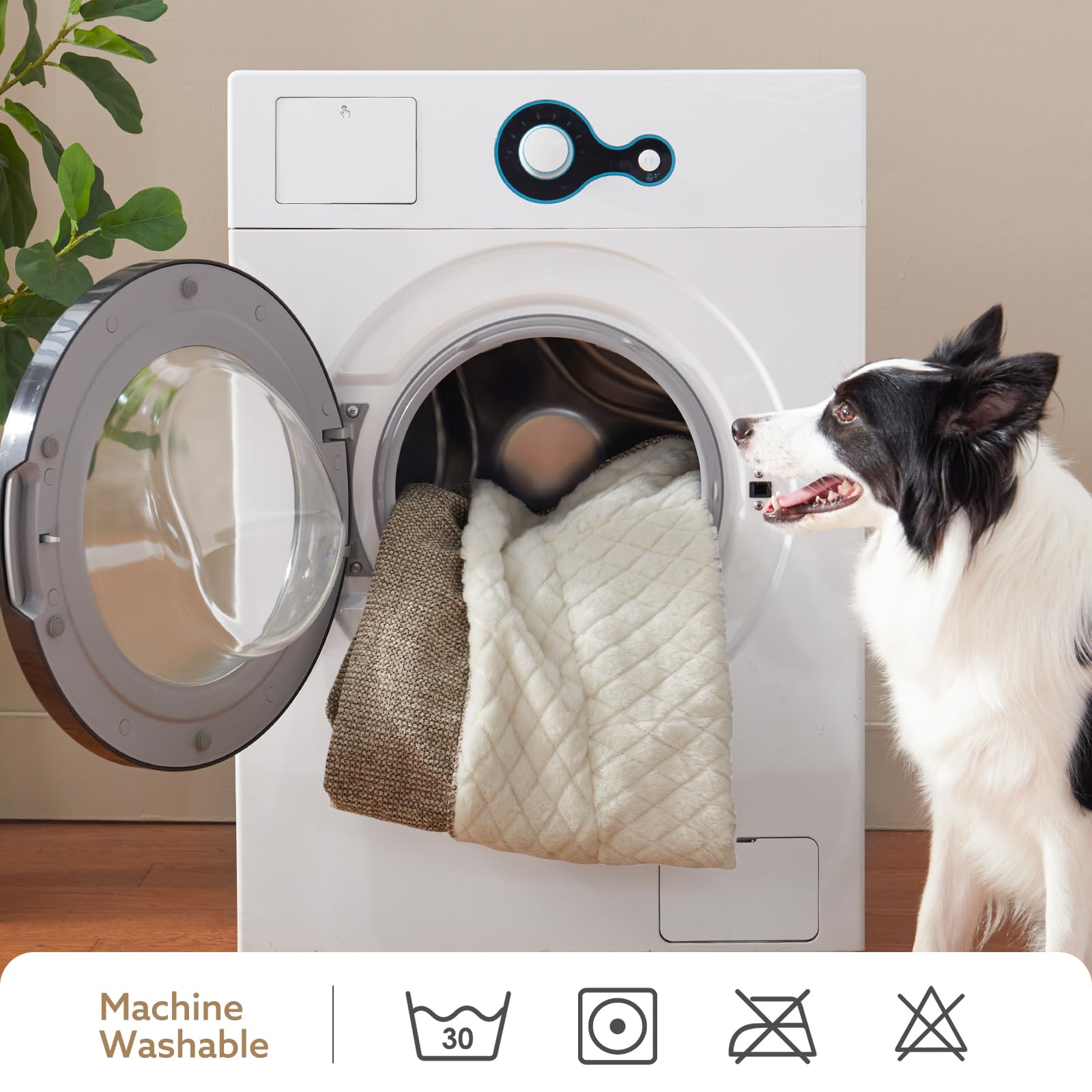 JOEJOY XL foam construction demonstrates thick, cushioned support for large-dog comfort