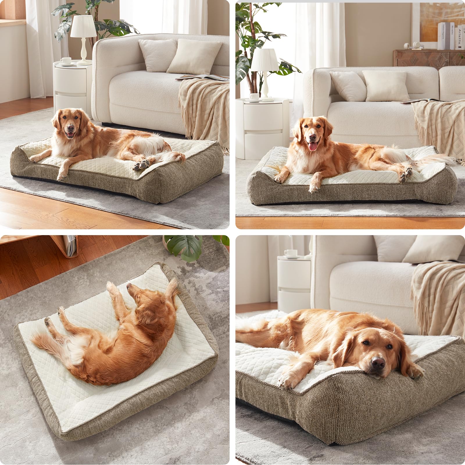 JOEJOY XL removable cover makes cleaning quick and simple for busy households