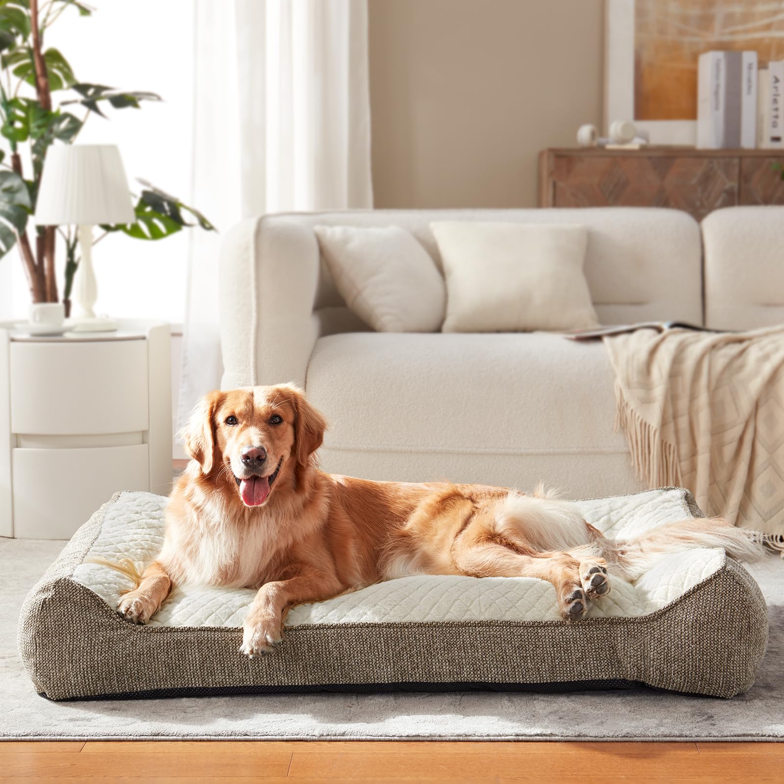JOEJOY XL vacuum packaging shows expansion-ready bed after unboxing
