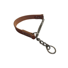 Joel Silverman's Patented Alternative Training Collar Medium II front view shows humane leash control for training