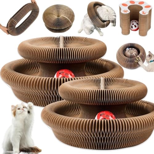 Jogcoys 2PC Kitty Curls Cat Toy ball-track in action promoting playful tracking