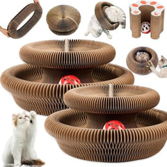 Jogcoys 2PC Kitty Curls Cat Toy ball-track in action promoting playful tracking