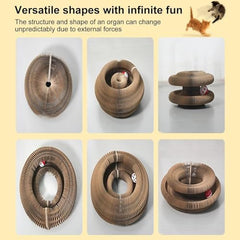 Jogcoys 2PC Kitty Curls Cat Toy ball-tracking with interactive element for play