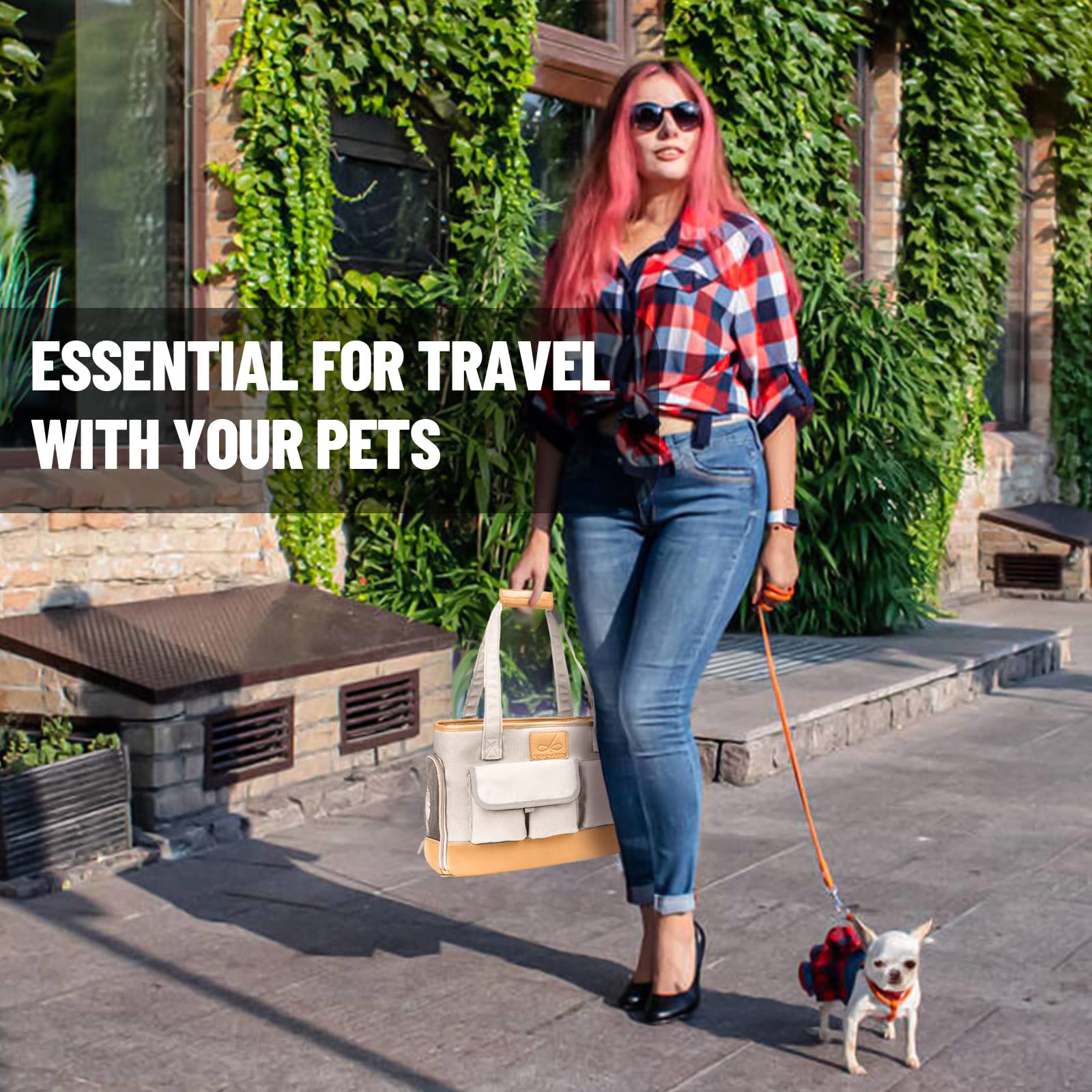 Johomviin airline-compatibility-info indicates broad travel compatibility across major airlines.