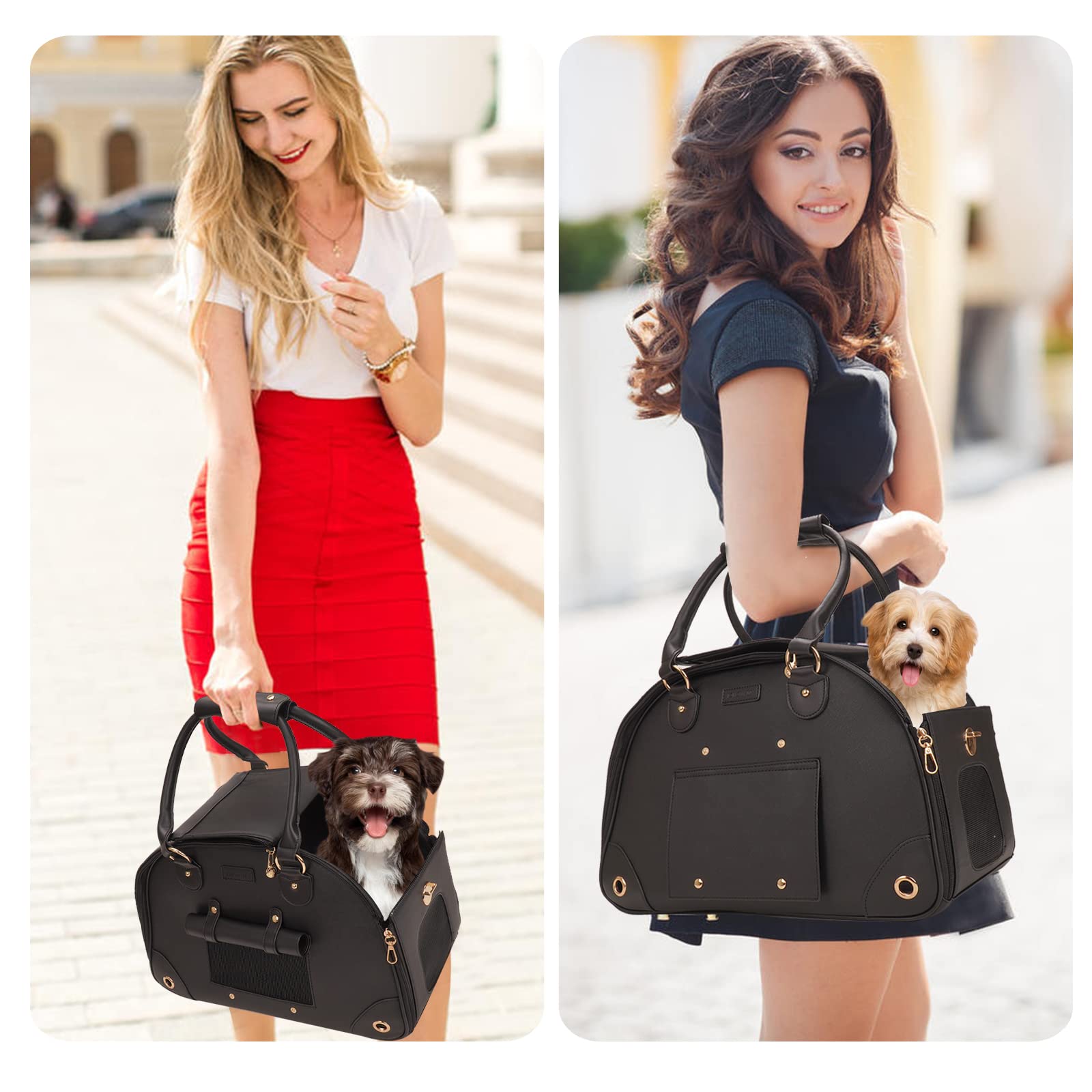 Johomviin pocket storage area keeps essentials like phone and treats close