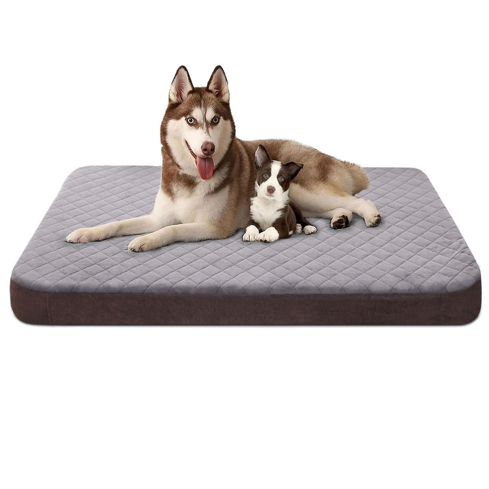 JoicyCo extra large dog bed front view shows spacious 47 inch surface